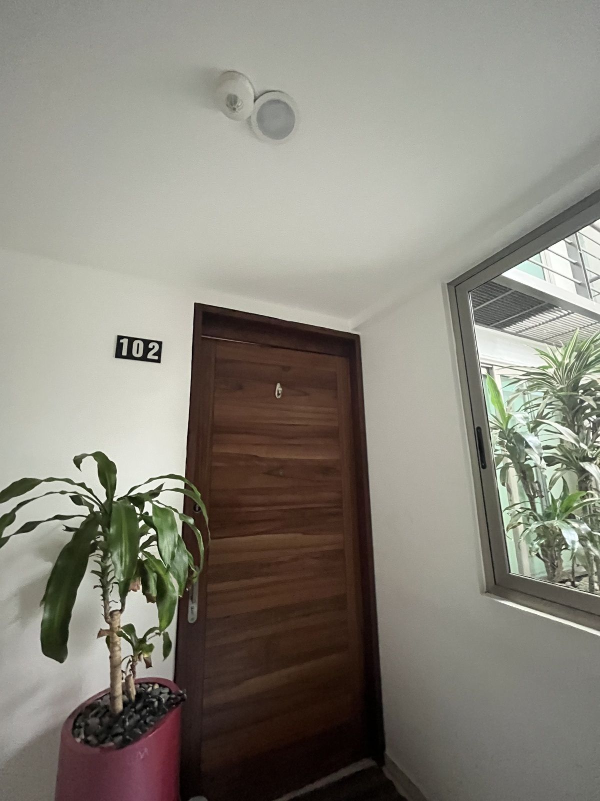 333, Calle Pitágoras, Narvarte Poniente, 03020 333, Calle Pitágoras, Narvarte Poniente, 03020